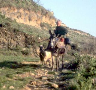 Crete image 93-5-9_02.jpg