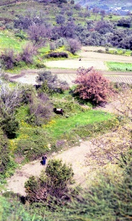 Crete image creteprint-bb-30.jpg