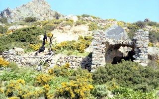 Crete image creteprint4c-1.jpg