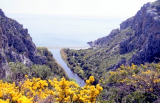 Crete image creteprint4c-12.jpg