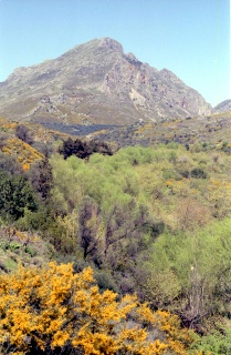 Crete image creteprint4c-16.jpg
