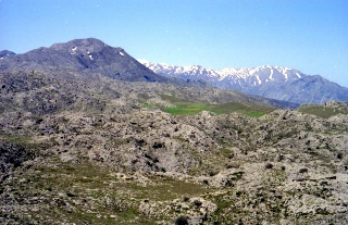 Crete image small_creteprint-01-14.jpg