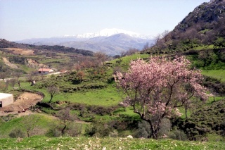 Crete image small_creteprint-01-33.jpg