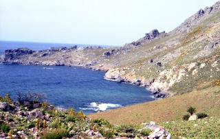 Crete image small_creteprint2-05.jpg