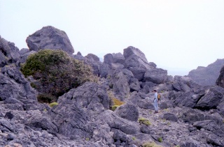 Crete image small_creteprint2-07.jpg