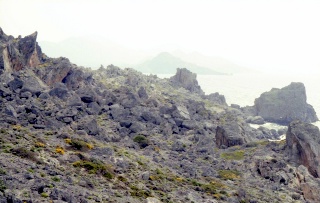 Crete image small_creteprint2-08.jpg