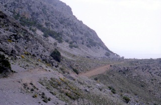 Crete image small_creteprint2-11.jpg