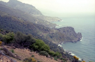 Crete image small_creteprint2-16.jpg