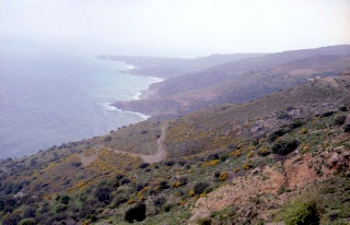 Crete image small_creteprint2-17.jpg