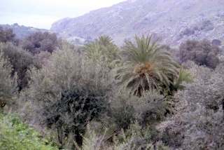 Crete image small_creteprint2-21.jpg