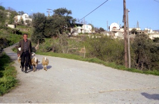 Crete image small_creteprint2-23.jpg
