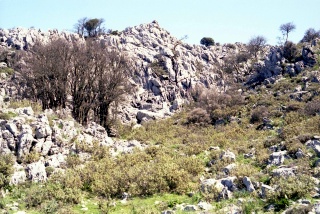 Crete image small_creteprint3-13.jpg