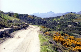 Crete image small_creteprint4-22.jpg
