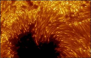 photograph of the sun