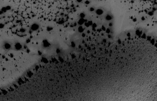 Life on mars